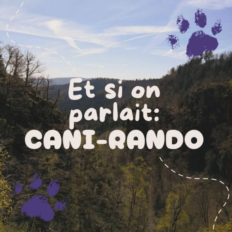 Cani-Rando